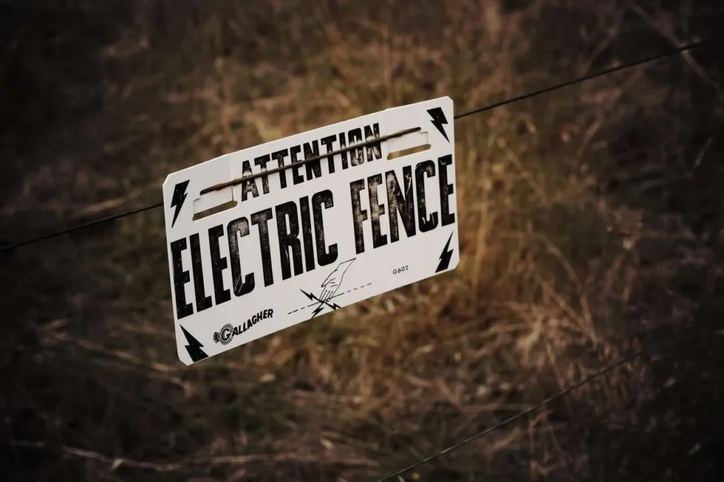 Why You Need an Electric Fence